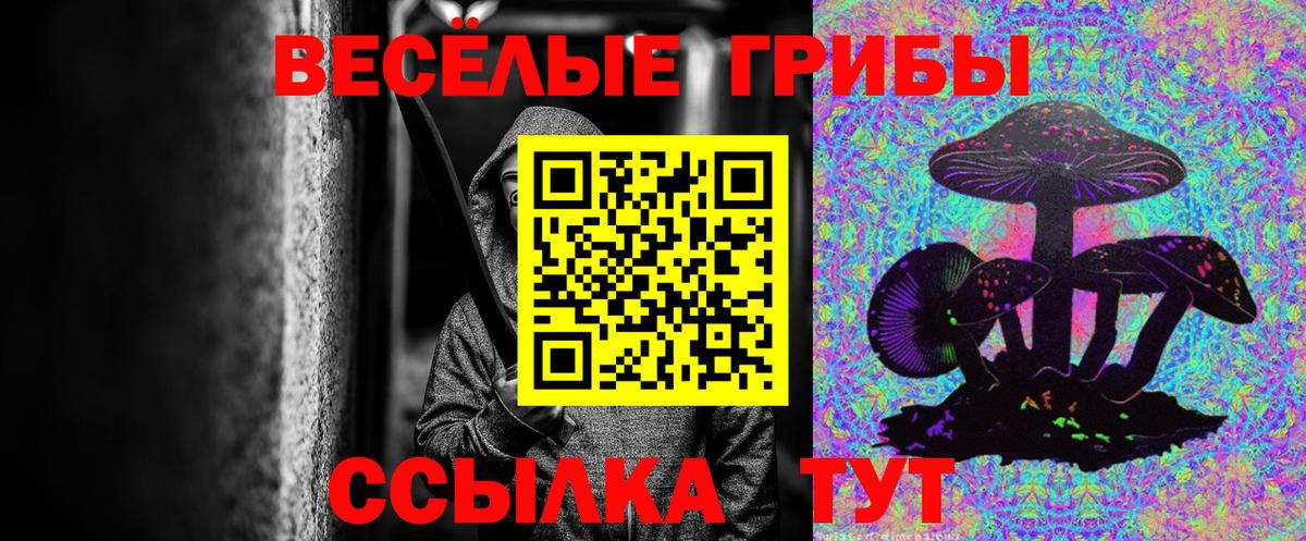 даркнет сайт  Псилоцибиновые грибы ЛСД  Вход с VPN  Чебоксары 